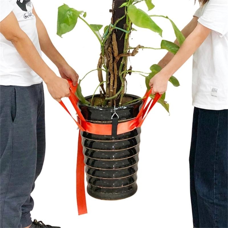 alça levantamento plantas plan - Heavy Equipment Landscaping avaliação e preço